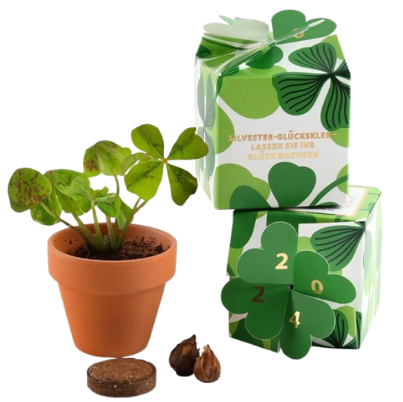 Cube Kit de plantation graine bio, Made in France