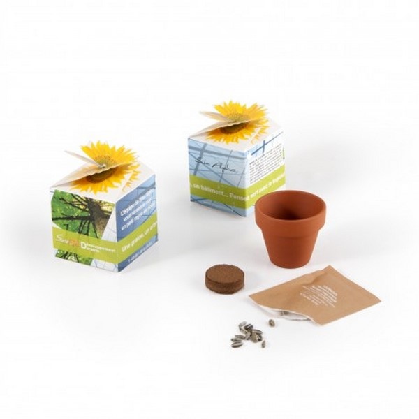 Cube Kit de plantation graine bio, Made in France - 2