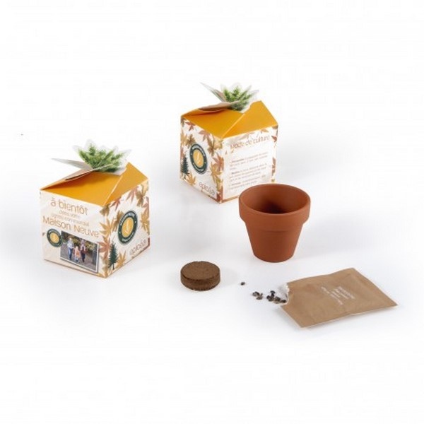 Cube Kit de plantation graine bio, Made in France - 3