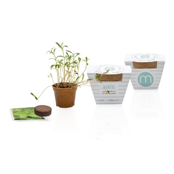 Kit de plantation avec pot en paille de riz -