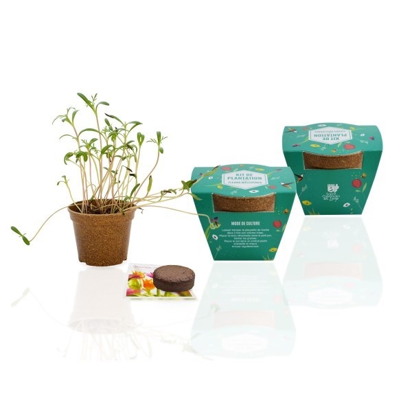 Kit de plantation avec pot en paille de riz -
