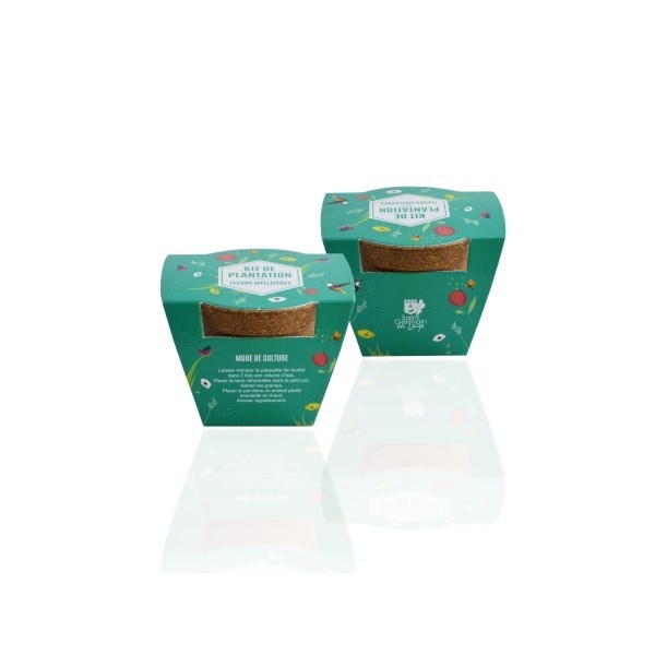 Kit de plantation avec pot en paille de riz -