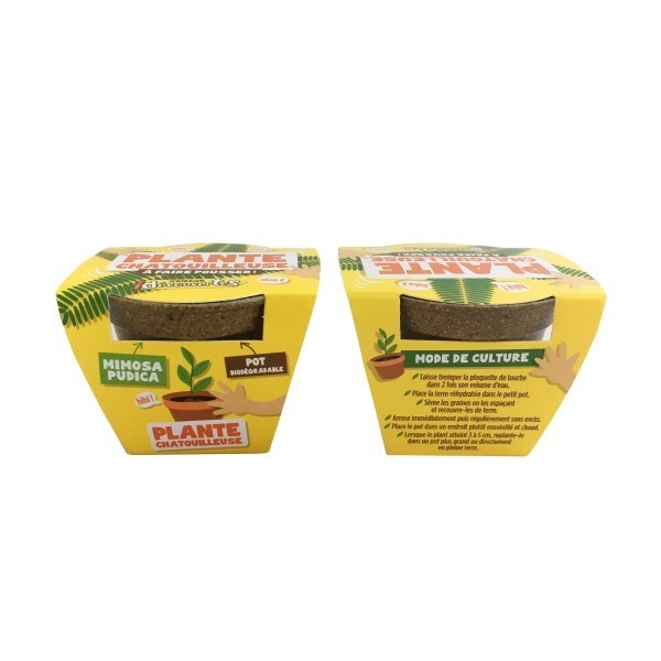 Kit de plantation avec pot en paille de riz -