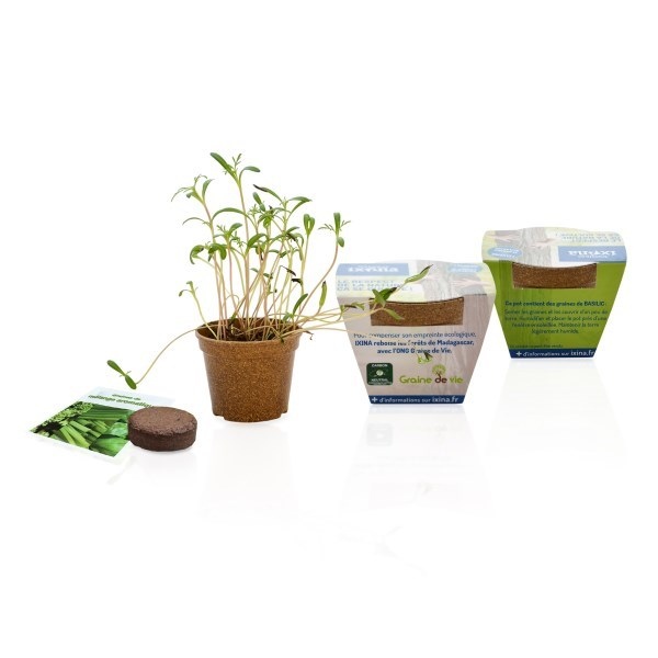 Kit de plantation avec pot en paille de riz -