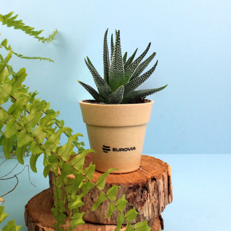 Plante décorative avec pot en fibre de bambou - 3