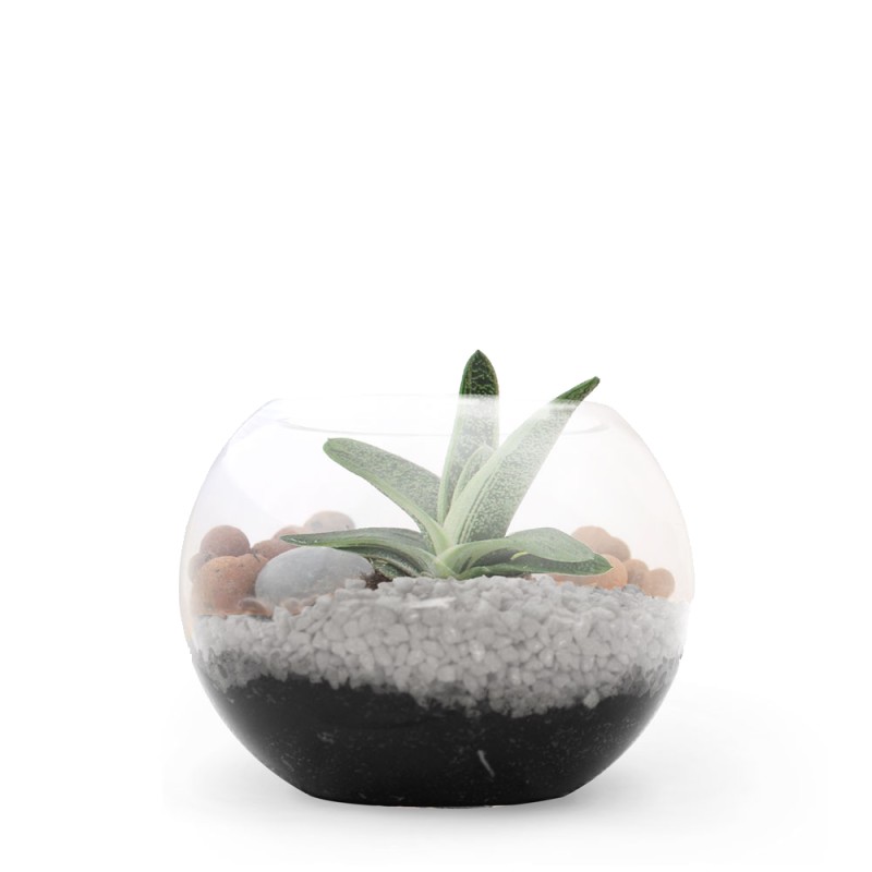 Terrarium DIY - Petite plante dépolluante - 2