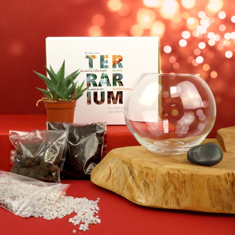 Terrarium DIY - Petite plante dépolluante - 3