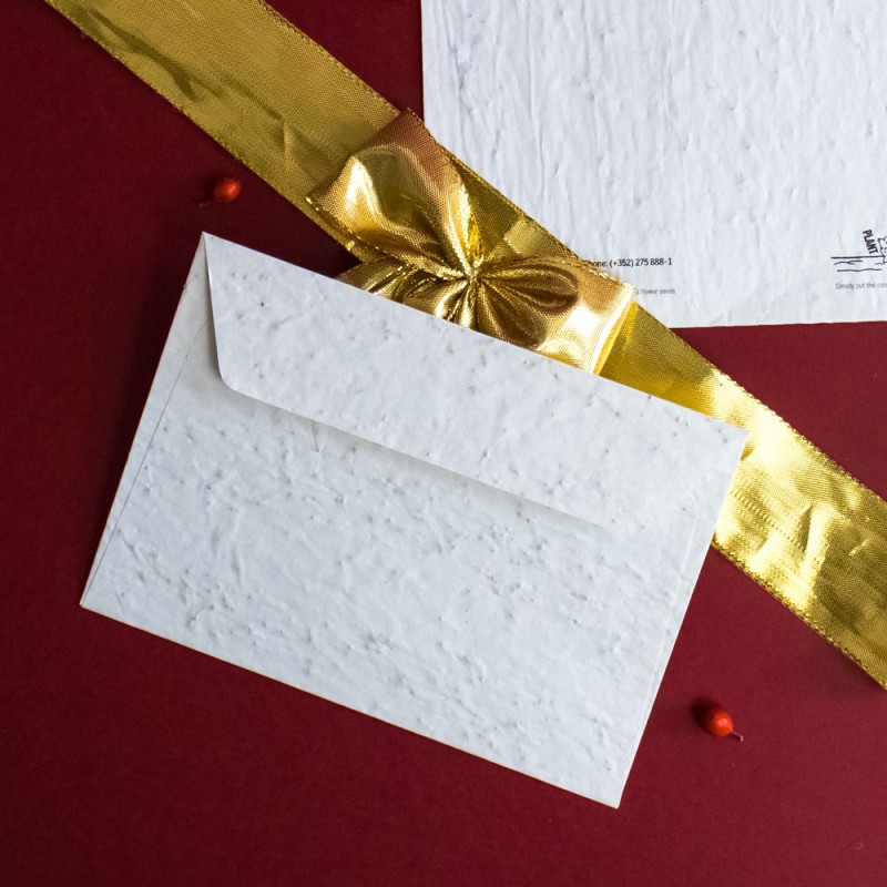 Enveloppe ensemencée en papier recyclé - 2