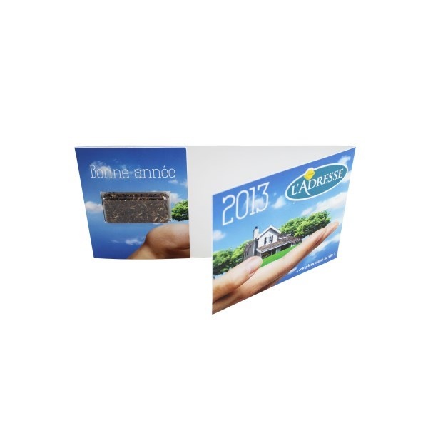 Carte à graines longue avec capsule de graines transparente