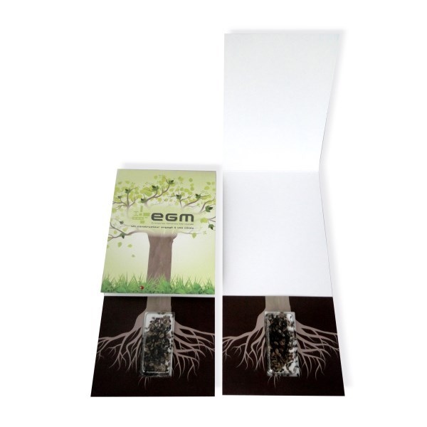 Carte à graines longue avec capsule de graines transparente -