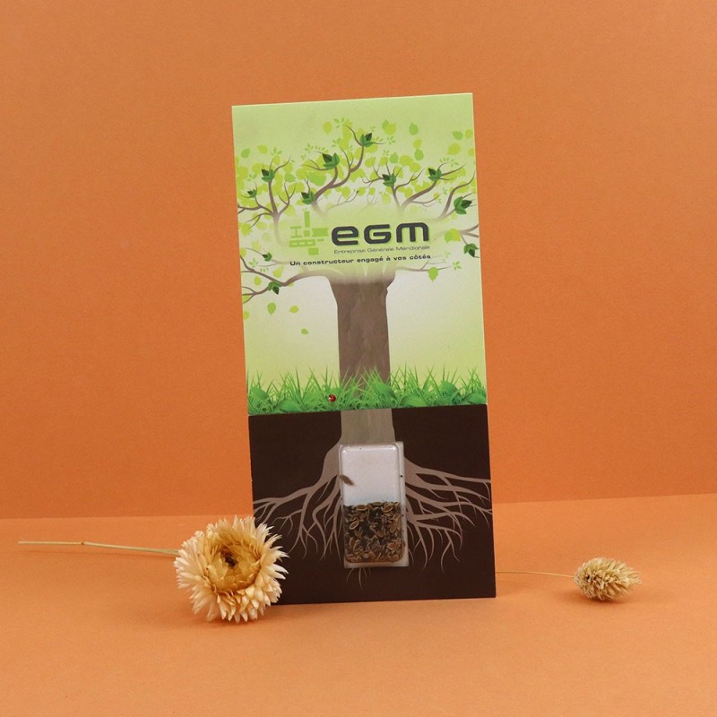 Carte à graines longue avec capsule de graines transparente - 3