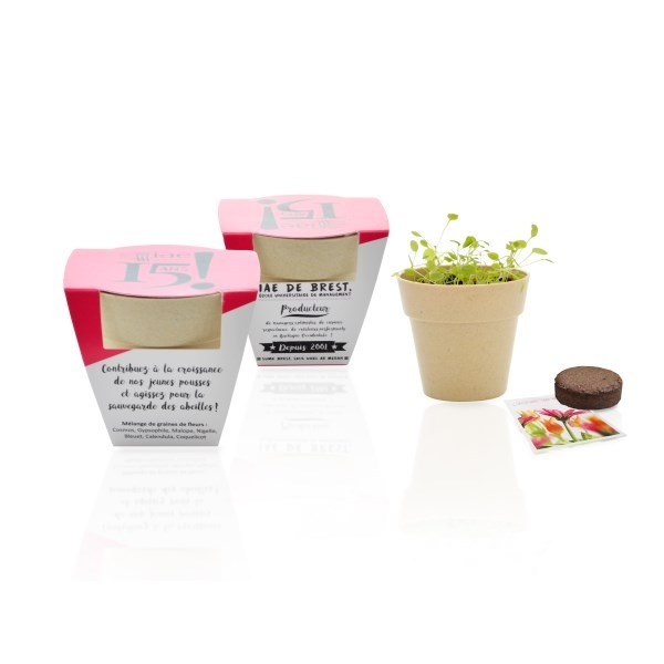 Kit de plantation avec pot en fibre de bambou -