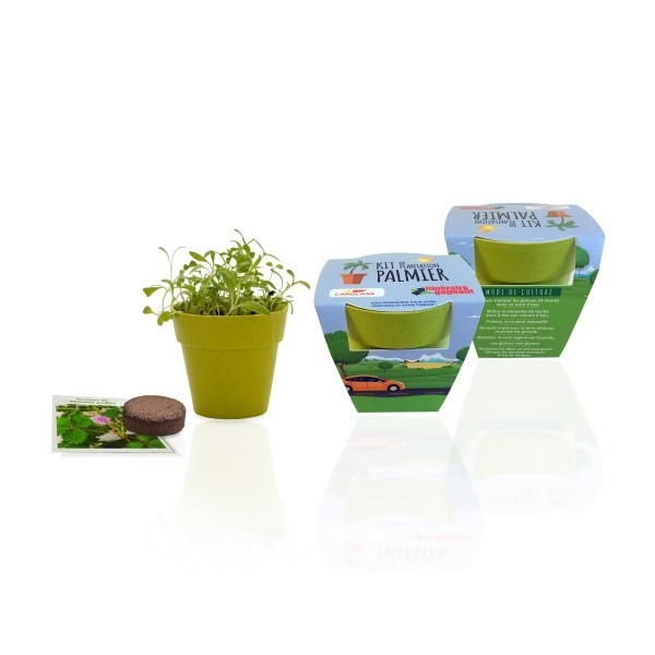 Kit de plantation avec pot en fibre de bambou -