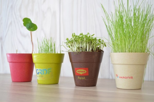 Kit de plantation avec pot en fibre de bambou -