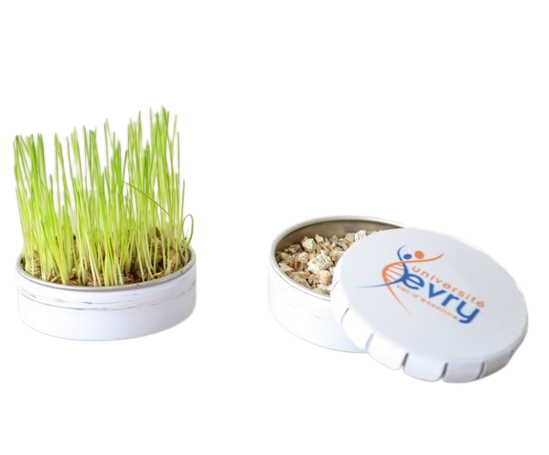 La boîte Clic-Clac métallique - kit de plantation
