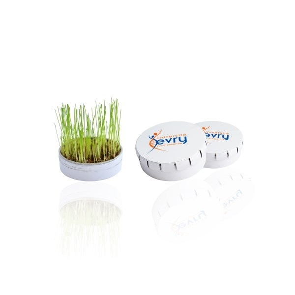 La boîte Clic-Clac métallique - kit de plantation -