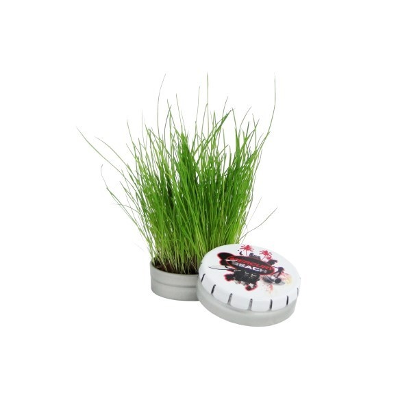 La boîte Clic-Clac métallique - kit de plantation -