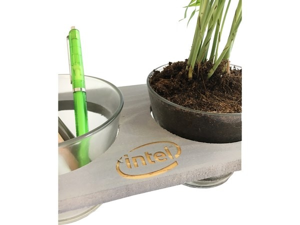 Double pot céramique et bois - Plante dépolluante -