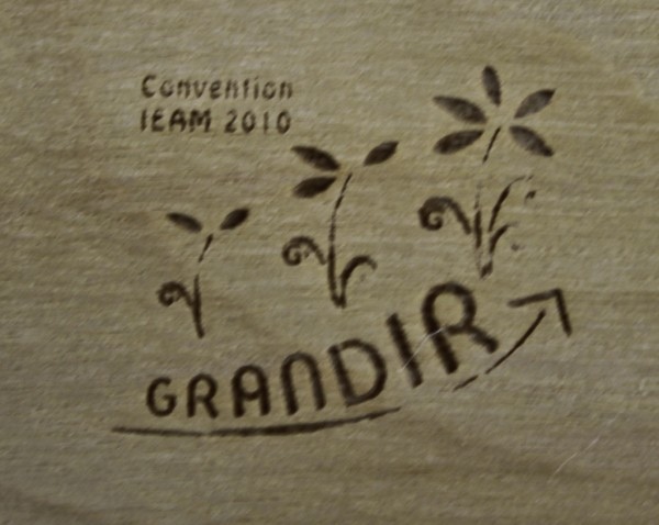 Plant arbre en tube bois avec cordelette Résineux -